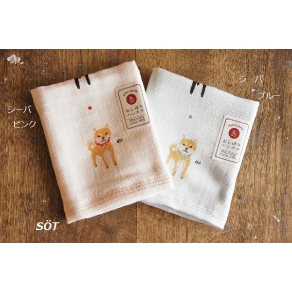 ӂ nJ` ڂ _uK[[ n Rbg100% ͂K[[ 2021^I kontex RebNX [֑Ή