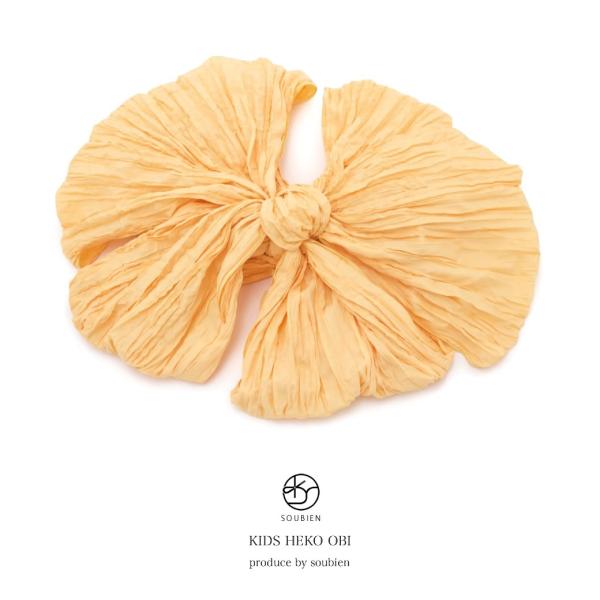  LbY q   F CG[ n PF h[vH ߑ q qǂp ւ čՂ ԉΑ