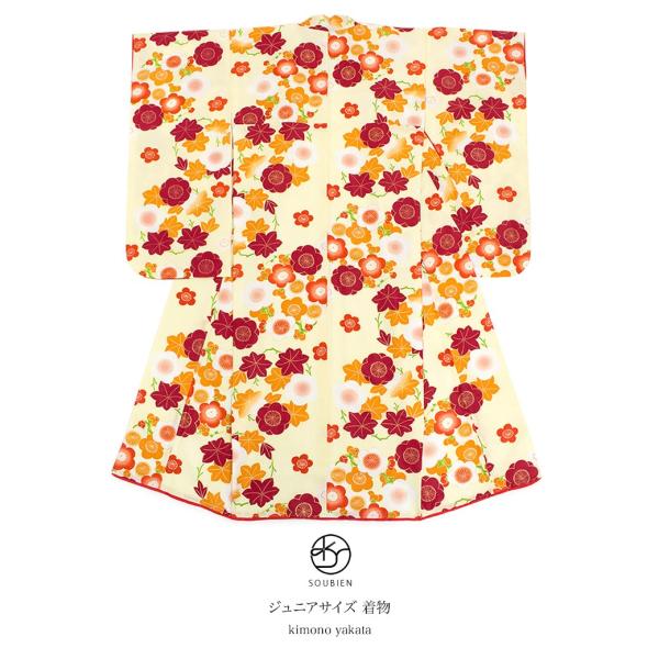  Pi w WjA F N[  F gt ~ @ٕt dܕt j U Ǝ \OQ \Ow ̎q LbY dďオ 