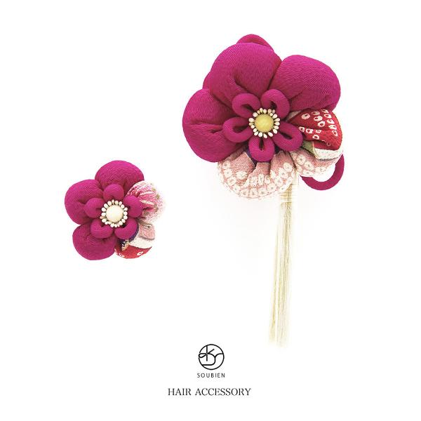  2_Zbg l U  t[ sN}[^ ~ k a [  񂴂   U葳 wAANZ