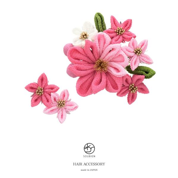  ܂ݍ׍H 2_Zbg KNF sN e ~  RT[W R[ Us  l Ǝ U ь wAANZT[ {