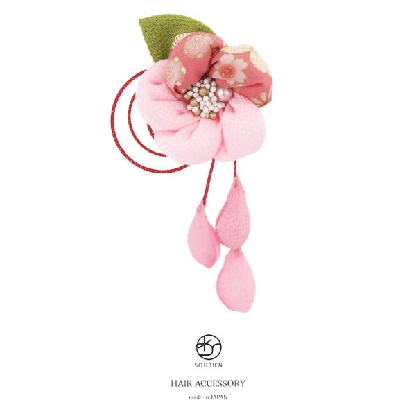  sN ~  t[ a k ߂ Ղ Ԃ R[  l Ǝ U ь wAANZT[ {