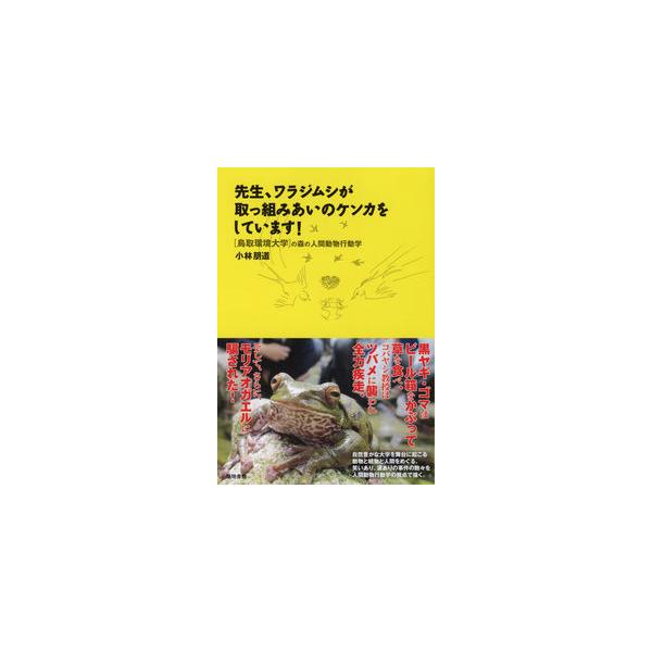 先生、ワラジムシが取っ組みあいのケンカをしています!: 鳥取環境大学の森の人間動物行動学 小林 朋道 単行本 Ｂ:良好 G0140B