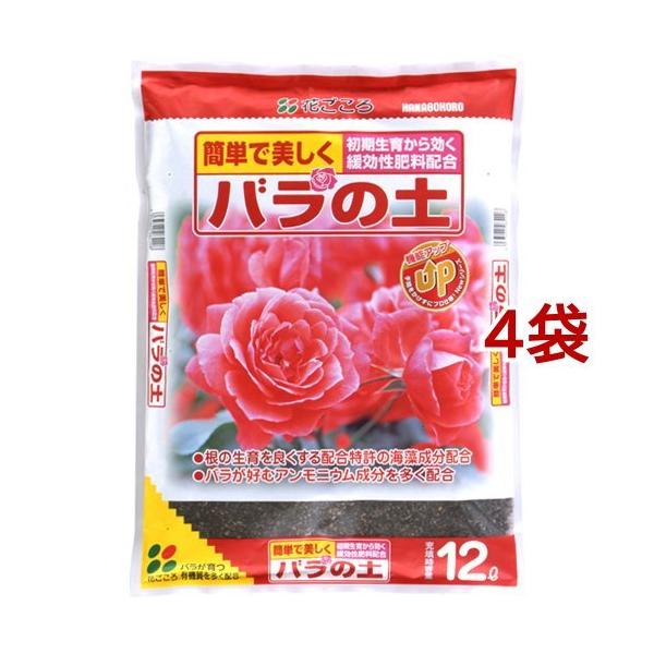 Ԃ o̓y ( 12L*4RZbg )