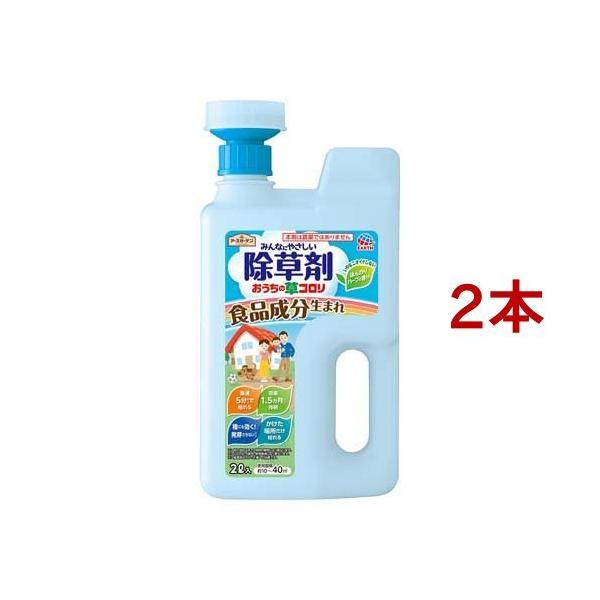 A[XK[f ݂Ȃɂ₳ ̑R WEwbh G΍ ( 2L*2RZbg )/ A[XK[f