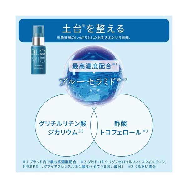 soukai_302346_5_d_20250122114055