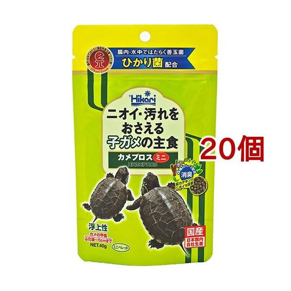 Ђ JvX ~j ( 40g*20RZbg )/ Ђ