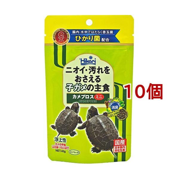 Ђ JvX ~j ( 40g*10RZbg )/ Ђ