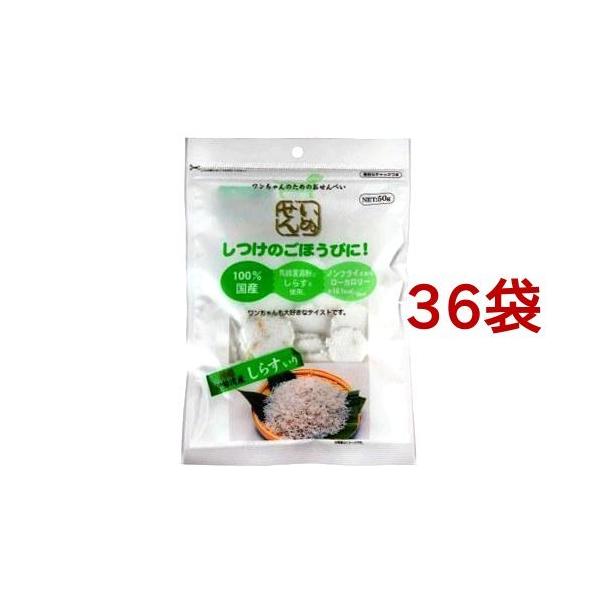 訳ありセール格安 いぬせん 伊勢湾産しらす入り 50g 36コセット 犬のおやつ サプリメント 早者勝ち Carlavista Com