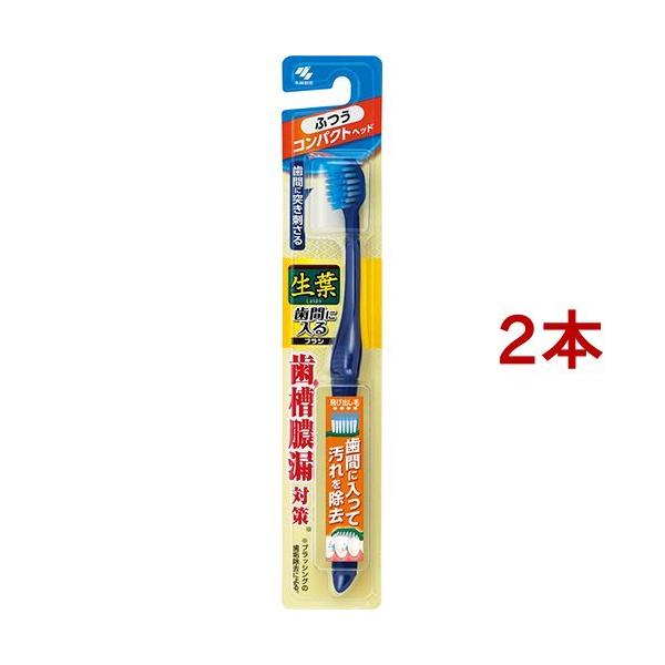 t ԂɓuV RpNg ӂ ( 1{*2RZbg )/ t ( ^R΍ )