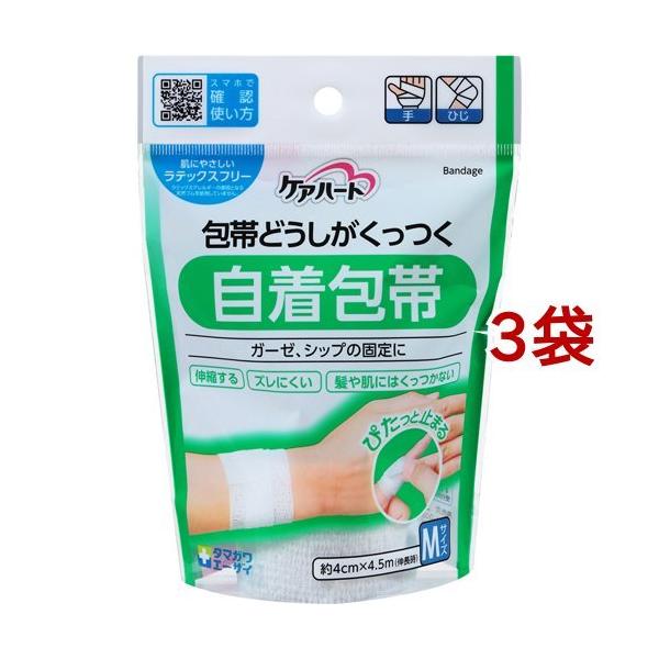 PAn[g тǂ  MTCY ( 1R*3RZbg )/ PAn[g