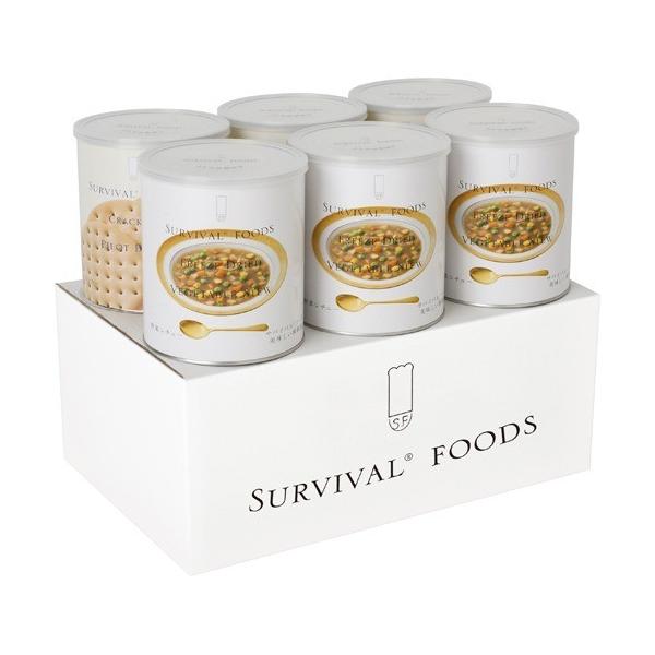 ToCot[Y  ؃V`[̃t@~[Zbg ( 6ʓ(15H) )/ ToCot[Y ( ۑH )