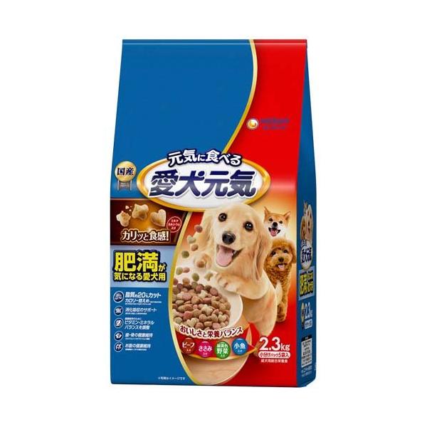 soukai_4520699657966