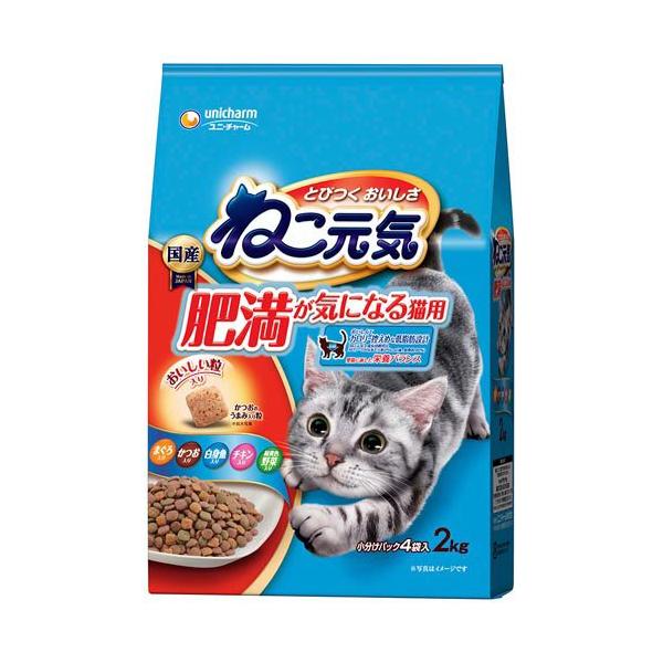 ねこ元気 肥満が気になる猫用 まぐろ・かつお・白身魚・チキン ねこ元気 肥満が気になる猫用 まぐろ・かつお・白身魚・チキン
