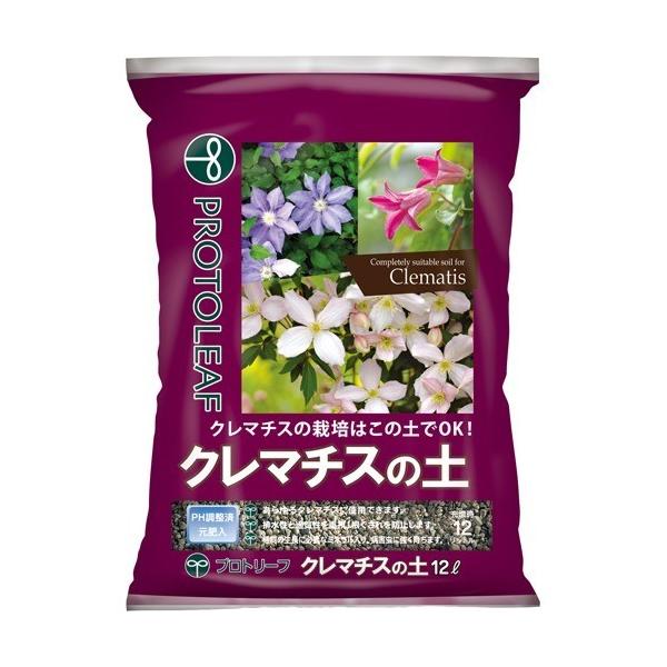 vg[t N}`X̓y ( 12L )/ vg[t