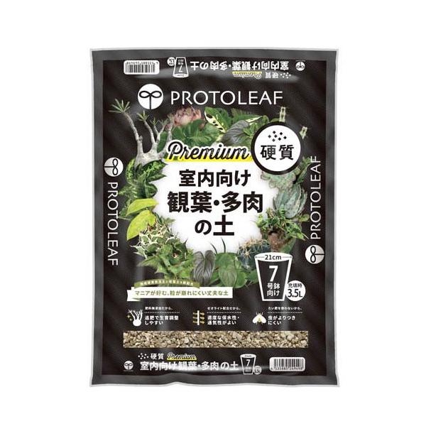 Top【選抜株】多肉植物　22526フレーベル　24個　鉢無し/脱土 soukai_4535885249498