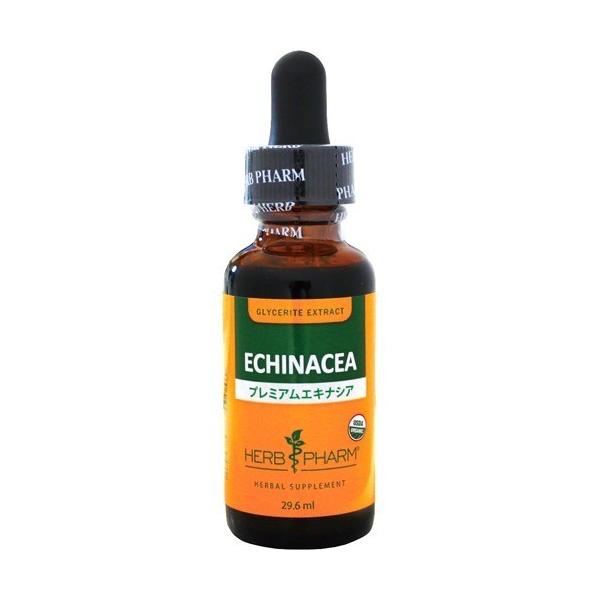 n[ut@[ v~AGLiVA ( 29.6ml )/ n[ut@[