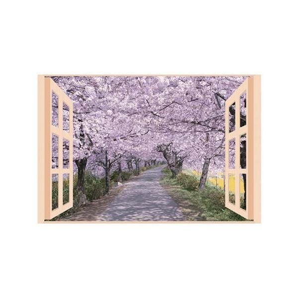 v C̃|X^[ lG  8095651 ( 1 )