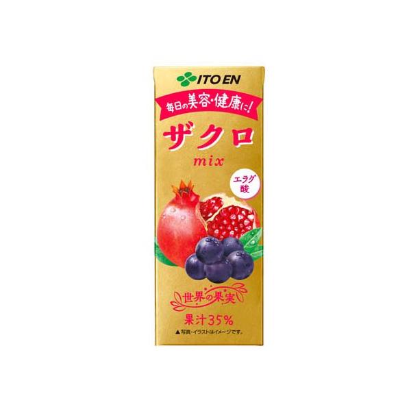 伊藤園 エコパック ザクロmix 紙パック ( 200ml×24本入 )/ : 爽快
