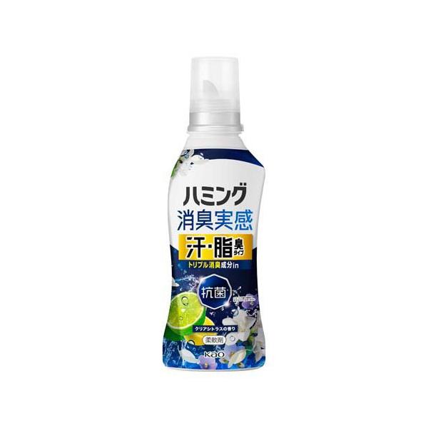 ハミング消臭実感 汗・脂臭タイプ クリアシトラスの香り 本体 ( 500g