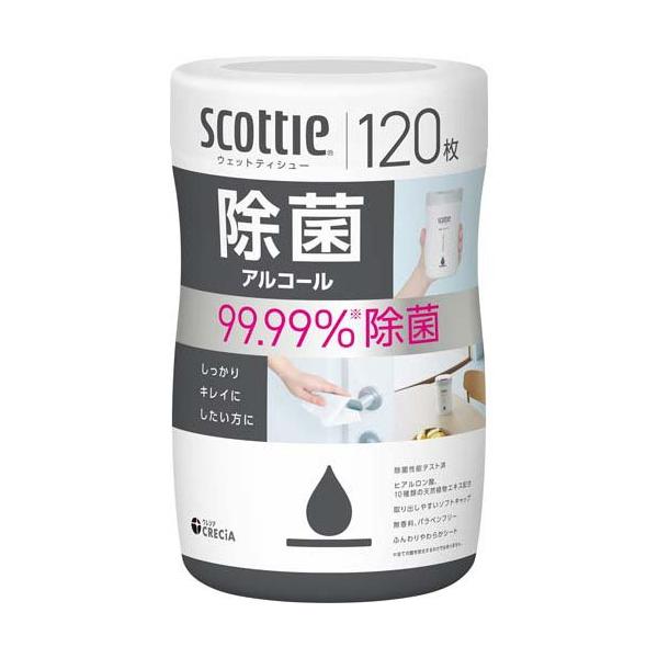 スコッティ ウェットティッシュ 除菌 アルコール 本体 ( 120枚