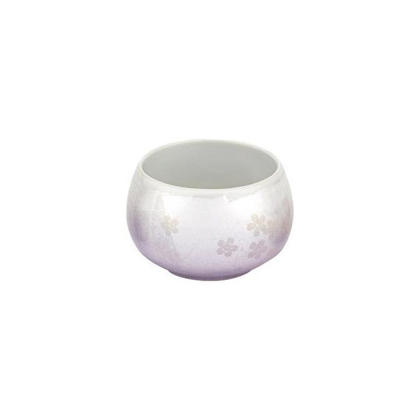 F̕ Jċ Wn̍ F ( 1R )/ {