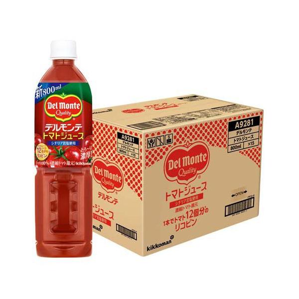 デルポトロ　支給品　シューズ デスポルチ シューズ カンピーナスTF SP2 DS-2041