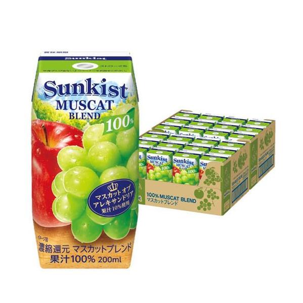 Ryo マスカット100個 soukai_4902720149037