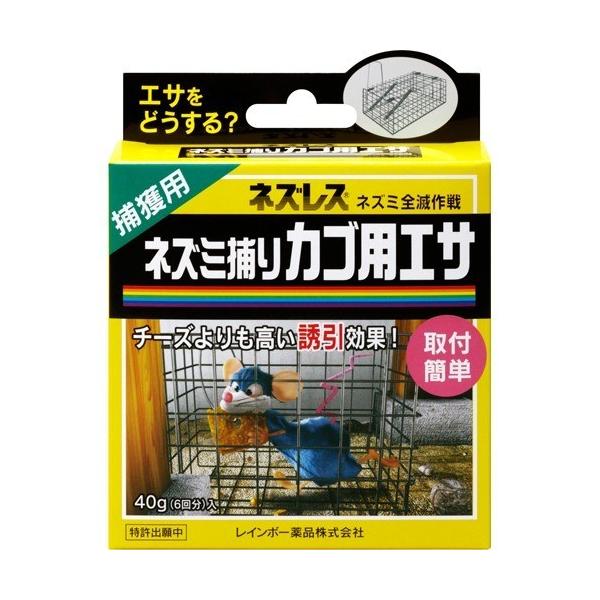 lYX lY~߂JSpGT ( 40g )/ lYX