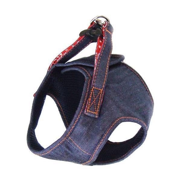 Rbgfj \tgn[lX lCr[ SS ( 1 )