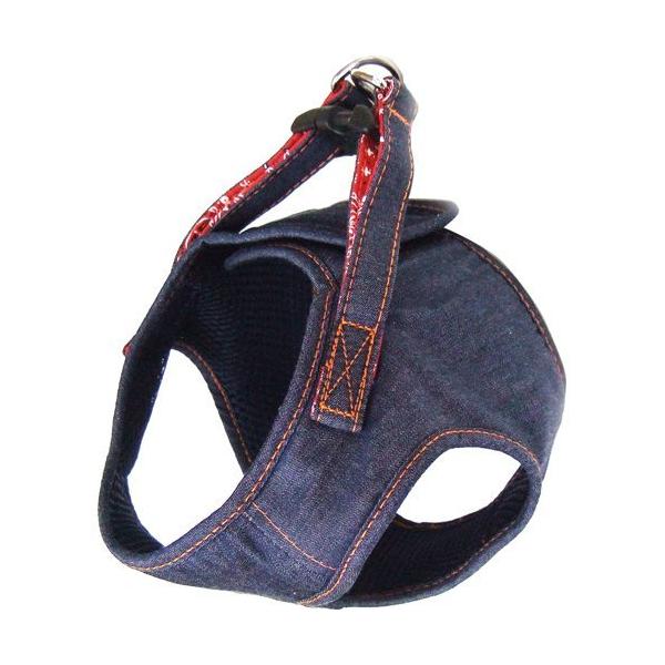 Rbgfj \tgn[lX lCr[ S ( 1 )