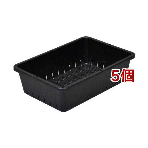 育苗コンテナー 6型 ブラック ( 1コ入*5コセット ) : 爽快ドラッグ