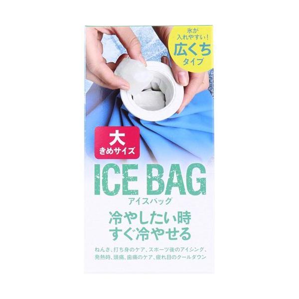 ICE BAG 大きめサイズ ( 1個 ) : 爽快ドラッグ - 通販 - Yahoo