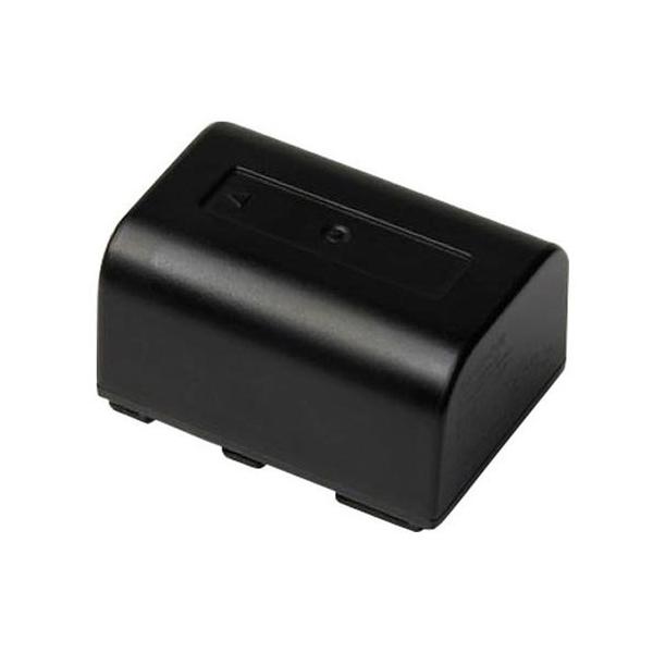 kenko ビデオカメラ バッテリー2個セット ケース、SDカード付き ビデオ