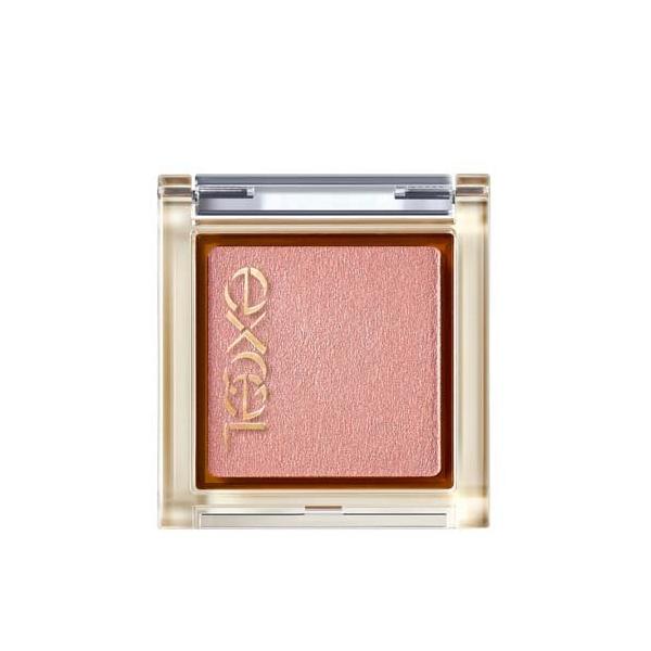 エクセル アイプランナー R05 シナモンフィグ ( 1個 )/ エクセル(excel