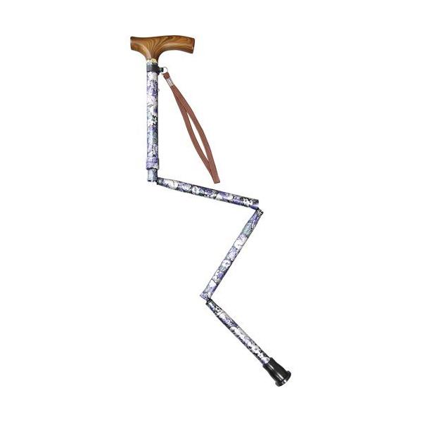 ׂɂ Lk܂肽ݎ  ( 1{ )