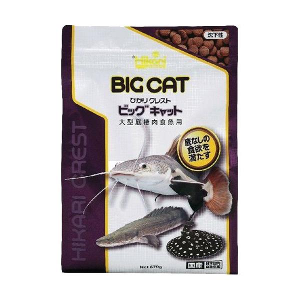 Ђ NXg rbOLbg ( 570g )/ Ђ