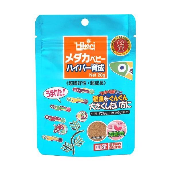 Ђ _Jxr[ nCp[琬 ( 20g )/ Ђ