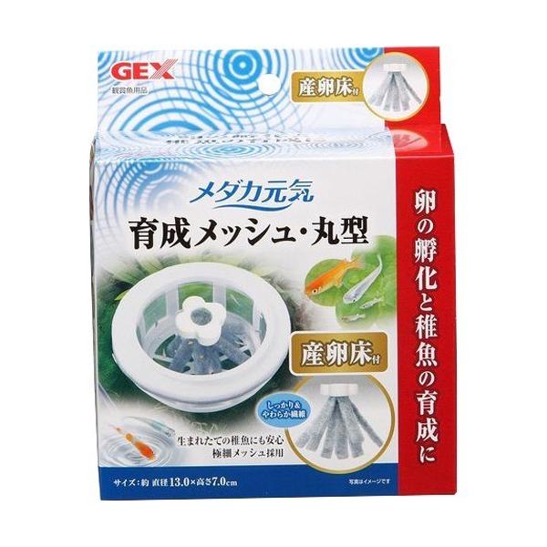 _JC 琬bVEی^ Yt ( 1R )/ _JC