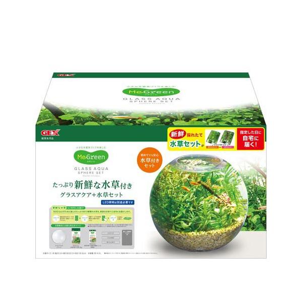 MeGreen 新鮮な水草付き グラスアクアスフィアセット ( 1個