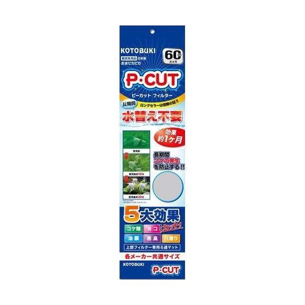 RguLH| PEJbg tB^[60 ( 1 )/ RguLH|