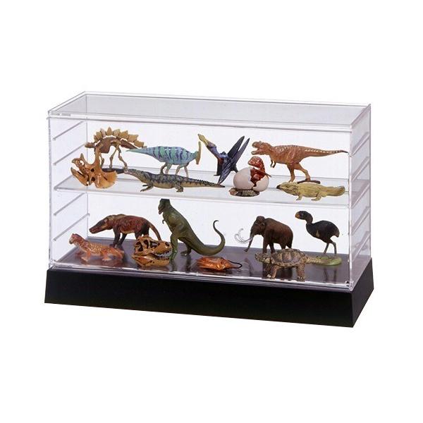 tBMAERNV X^bNXNGA x[X ubN ( 1R )