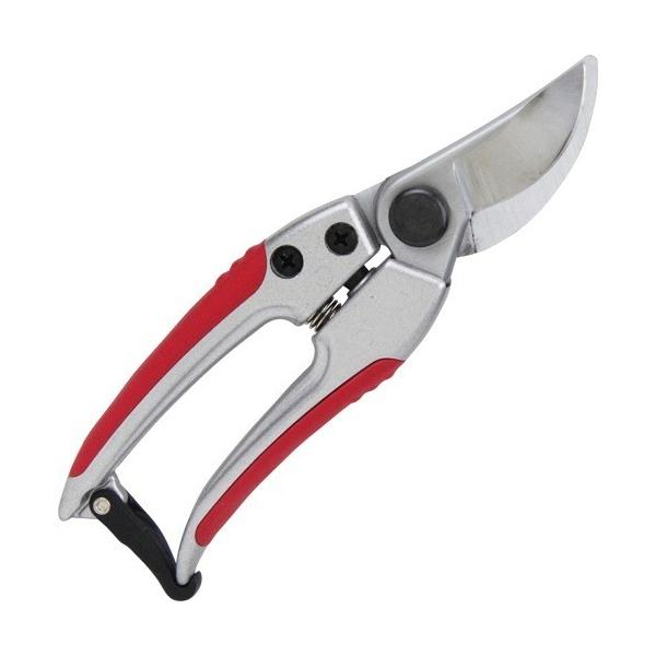 g ₷ SGP-51 ( 1R )/ g