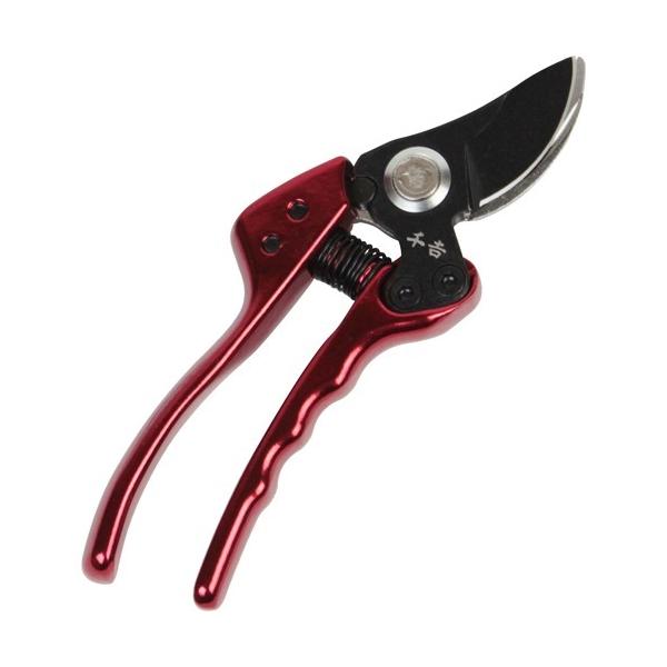 g fB[XA~  SGP-33 ( 1{ )/ g