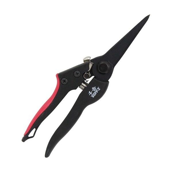 g GF  SGFP-2 ( 1R )/ g