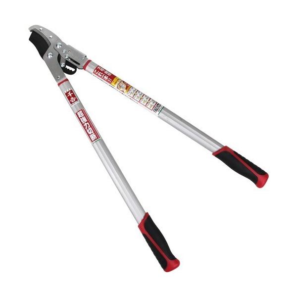 g `Fbgؑ֎} SGFL-9 ( 1R )/ g