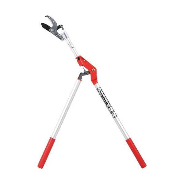 g Ar^ } 1.0m SGLP-6 ( 1{ )/ g