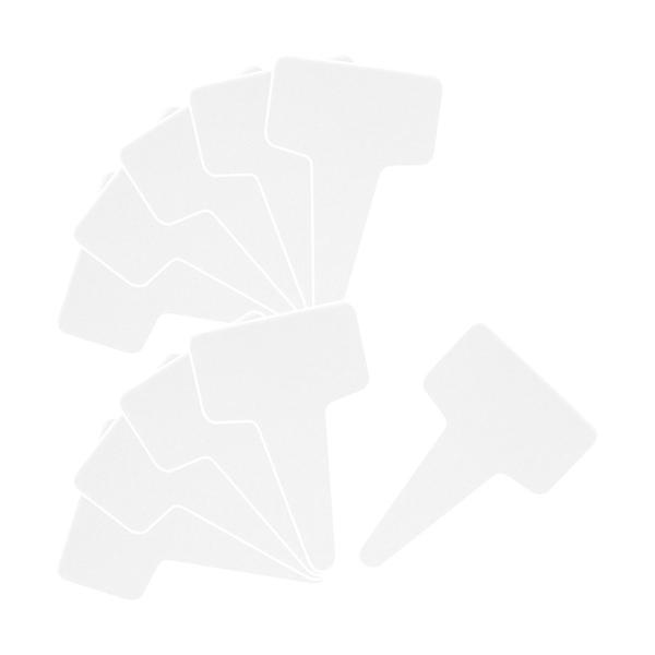 ZteB[3 |px T^  ( 100 )/ ZteB[3