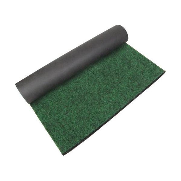 ZteB[3 ό hV[g  1m*10m ( 1 )/ ZteB[3