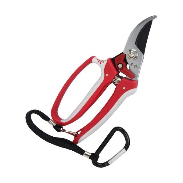 g fB[X SGP-32 ( 1{ )/ g